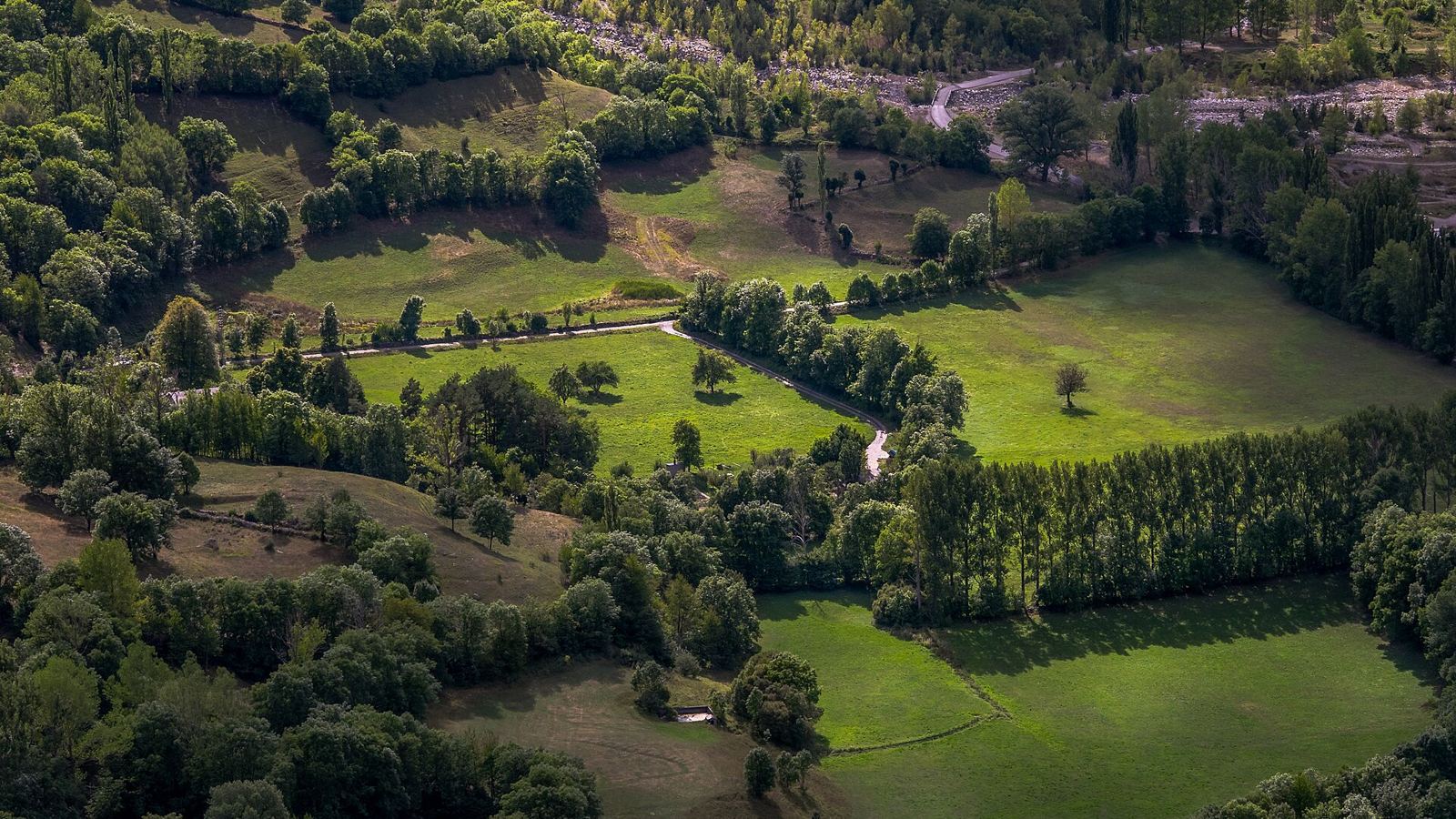 Green meadows in the Benasque valley