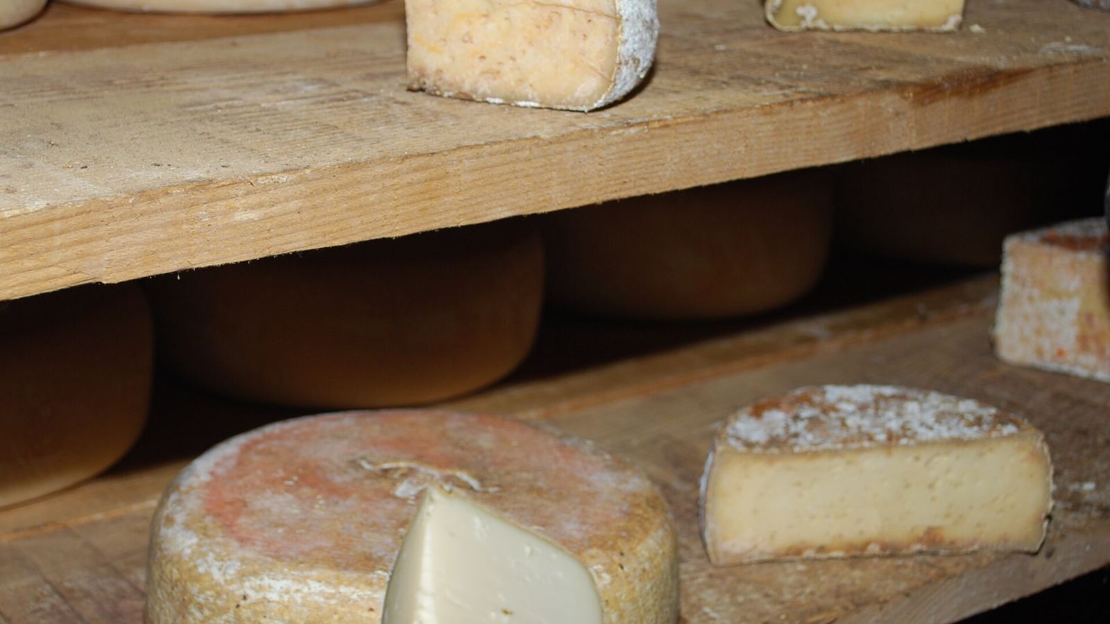 Pyrenees food & wine guide